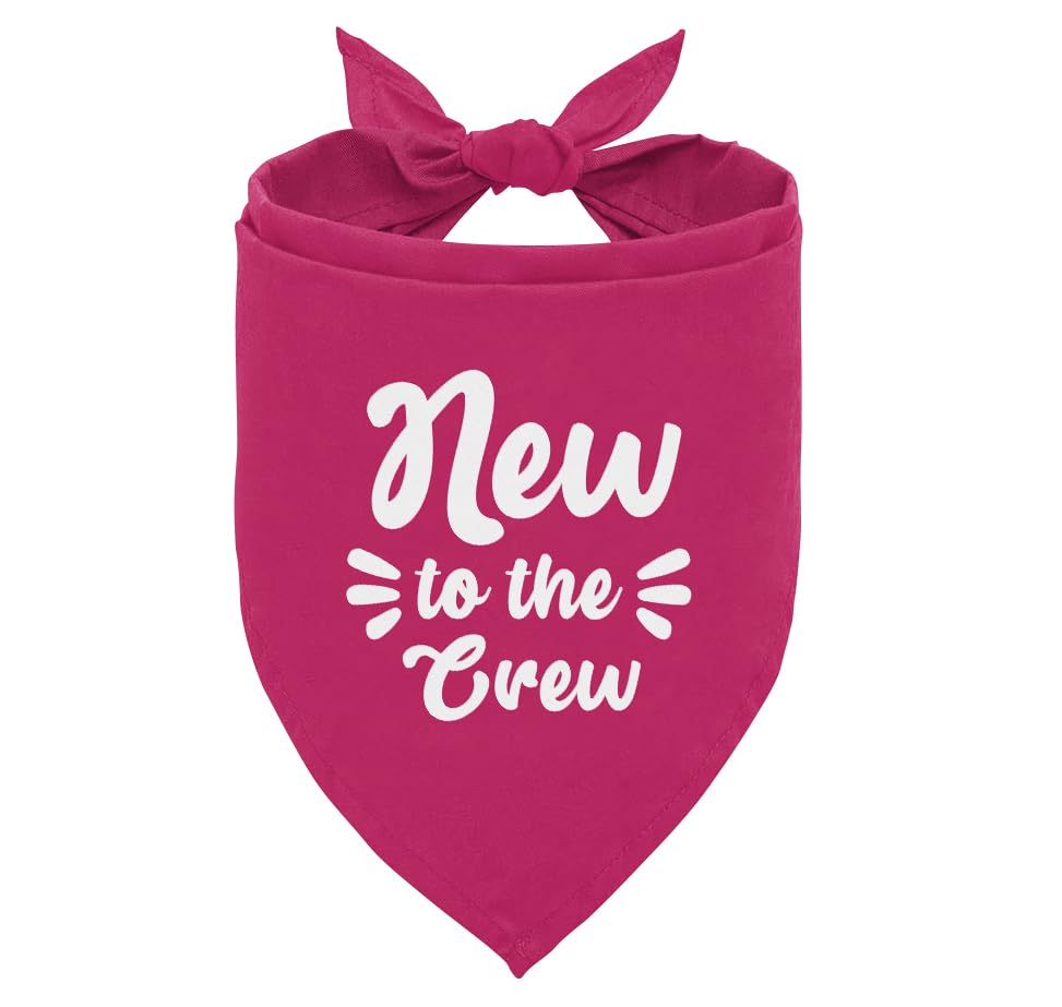 New to The Crew Dog Bandana, Funny Cute Dog Bandana, New Puppy Reveal Dogs Bandanas, Pet Scarf, Dogs Bandanas for Small Me...
