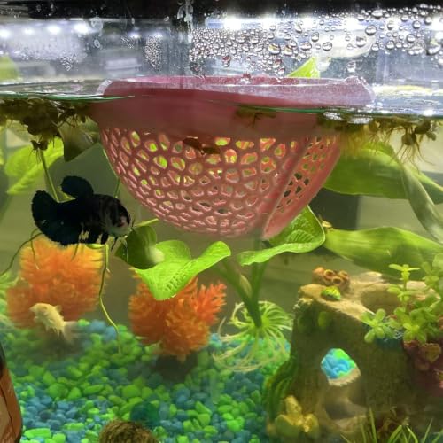 Image of Aquarium Floating Betta Fish Skins, Betta or Shrimp Feeder, Cave and Hammock, Small Fish Feeding Rings, Aquarium Hiding Feeding Decorative Accessories (Light Pink)