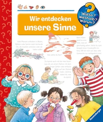 Preisvergleich Produktbild Wir entdecken unsere Sinne (Wieso Weshalb Warum, Band 34)