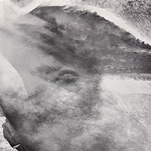 Amazon Music Letters VS NumbersのHead Static Amazon.co.jp