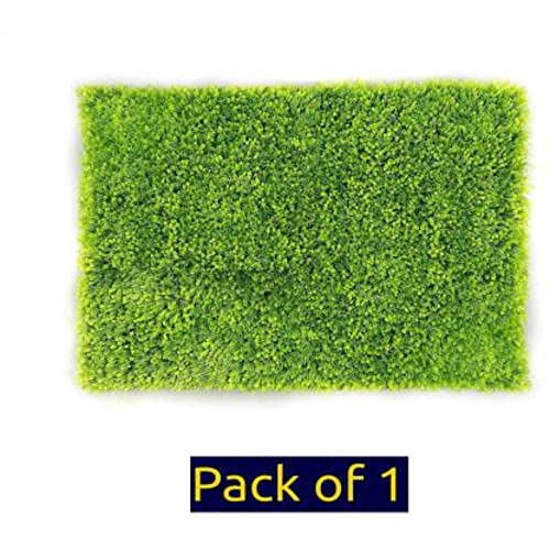Image of Anti Skid Doormats for Home and Office Entrance Living Room and Bathroom Mats | Entrance Door Mats for Home and Office Entryway. (Solid Green, 20x32)