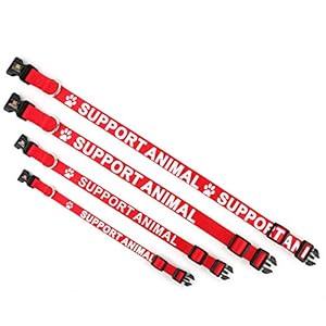 Plutus pet support animal collarprinted in large letters on nylon webbingprevents accidents by warning others of your dog in advancetwo colorsfour sizesneck 8 12 inchextra smallred   cucciolini doodles