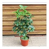 Artificial Trees 60cm 18Fork Large Artificial Tropical Plant Plastic Schefflera Branch Green Palm Tr