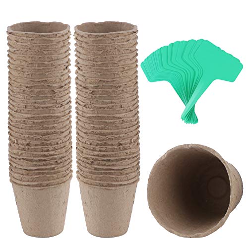 Coolty 60 macetas de turba de 3 pulgadas, macetas biodegradables, macetas de semillas para trasplantes, macetas para plantas, hierbas, flores, verduras con 60 etiquetas para plantas