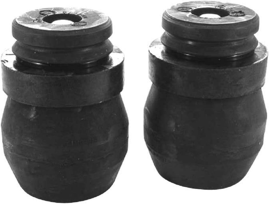 TIMBREN 2009-2022 Compatible With Dodge Ram 1500 Quad Regular Crew Cab 2WD 4WD SES Suspension Enhancement System Rear Kit DRTT1500