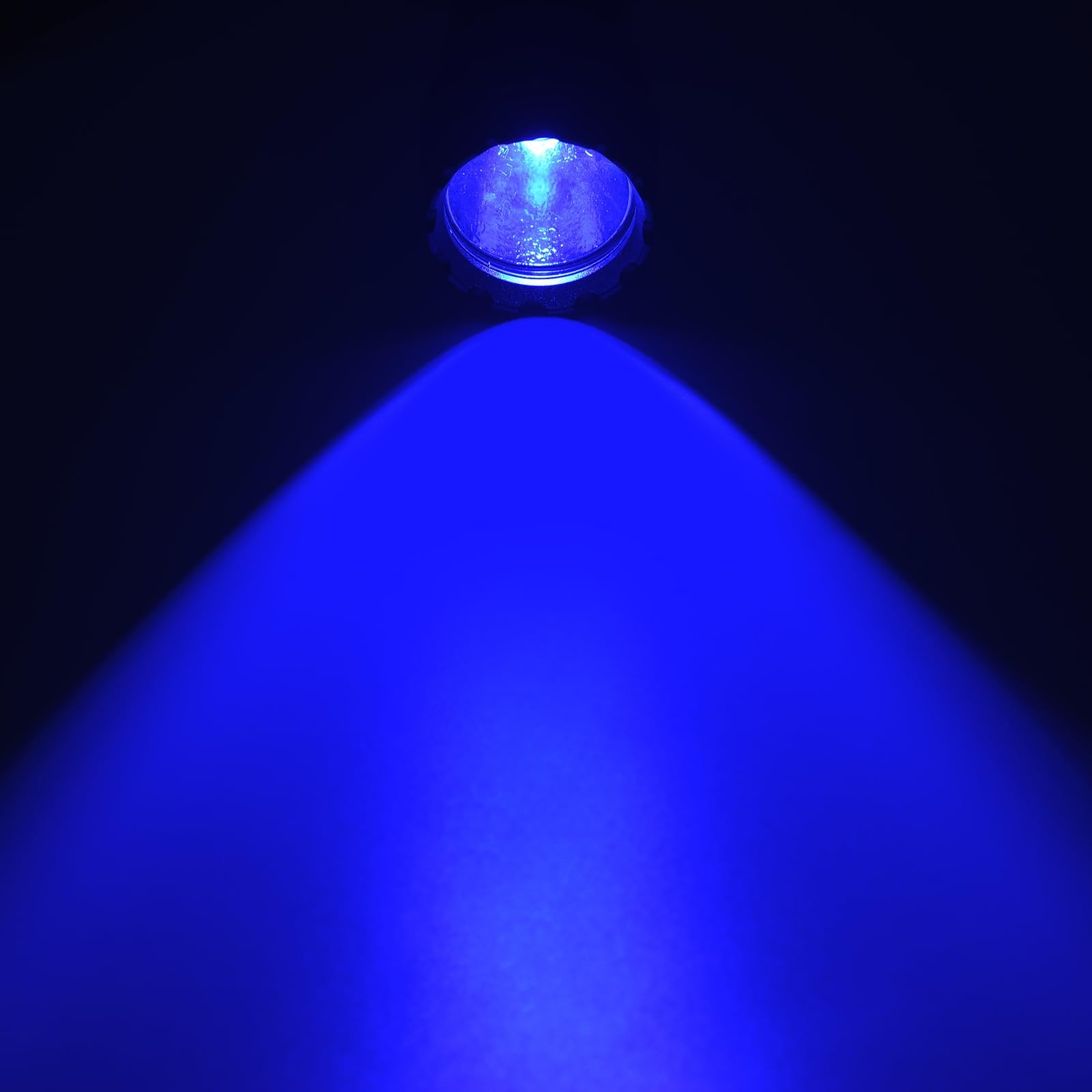 ULTRAFIRE Torcia a LED a luce blu, 450-460 nm, con fondina, 10 W, luce blu ad alta potenza, per visione notturna, osservazione galleggiante fluorescente, WF-501G RRO