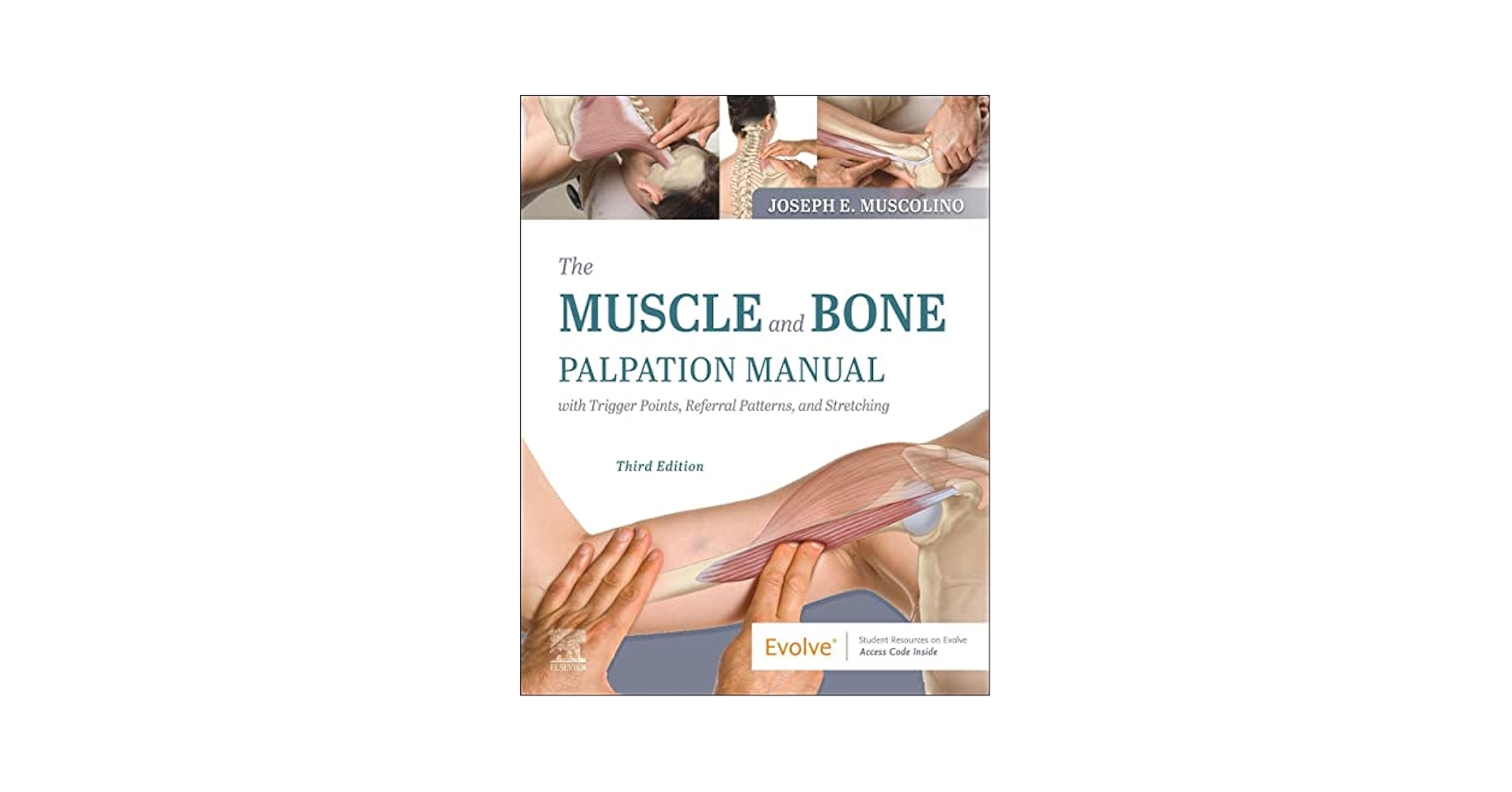 MOTION PALPATION OF THE EXTREMITY 上・下巻 519JzUnsA7L._AC_SY200_QL15_.jpg