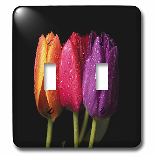 Interrupteur à bascule tulipes orange et violet au graphisme haute définition
