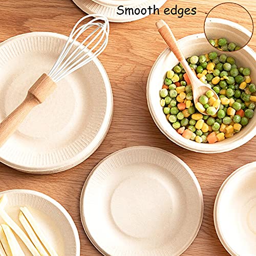 Tiaiidi 100 Pack Compostable 8 oz Paper Bowls,Heavy-Duty Quality Natural Disposable Bagasse Bowls,Biodegradable Natural Colour Paper Bowls for Salad,Hot Soup,Pasta and Dessert