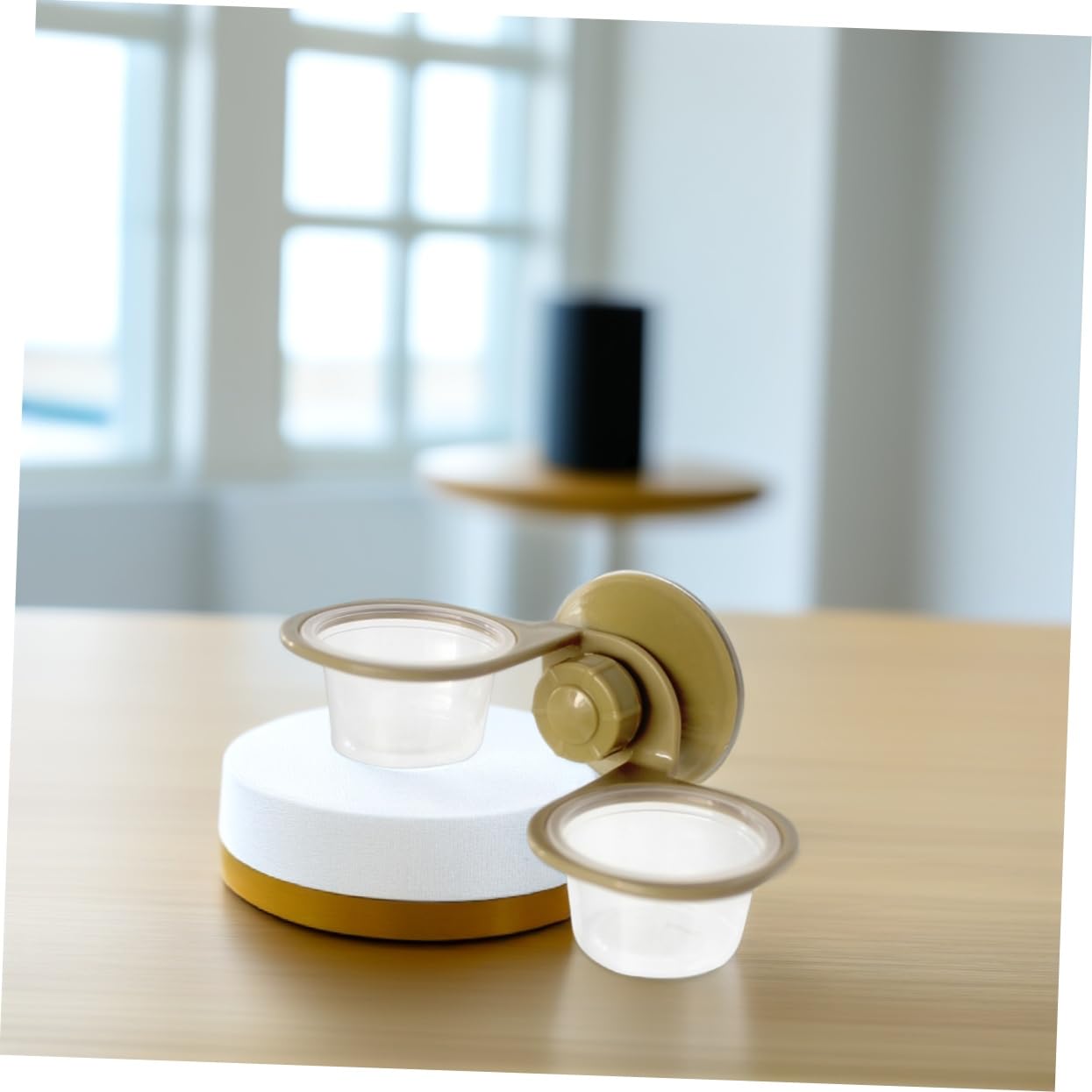 CIYODO 2Pcs Wall Mounted Lizard Food and Water Bowls Automatic Feeding Dish for Reptiles Design for Easy Observation Stable Installation with Strong Suckers