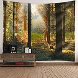 Facile à Entretenir: Les tapisseries sont faciles à nettoyer et peuvent être lavées à la main. Suspendez-le dans un endroit ventilé pour le faire sécher, évitez une exposition prolongée au soleil, évitez que la tapisserie ne se décolore et n’affecte le temps d’utilisation de la tapisserie.