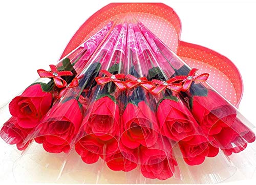  \[vt[ o ԑ bh Ό 20{Zbg ސEj 蕨 \ t