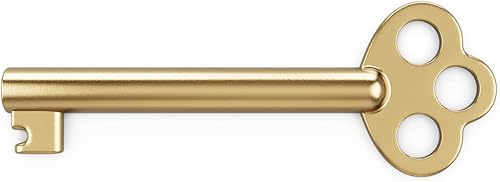 KY-6 - Barril hueco con llave de esqueleto, antiguo, puertas de gabinete modernas, cajones, aparadores y relojes de abuelo (latón, paquete de 1)