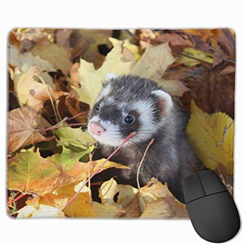 Frettchen Geschirr & Leine Set - Weiches Haustiergeschirr Für Kaninchen, Katzen & Chinchillas