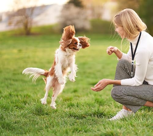 WANHUARO 2 StüCk Hundepfeife Rückruf, Hundepfeife Hochfrequenz Lautlos, Hundetraining Pfeife, Hilfsmittel Pfeife Hund Rückruf,Ultraschall-Hundepfeife(Schwarz, Blau)