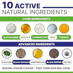   ADVANCED-Hemp-Hip-Joint-Supplement-for-Dogs-Glucosamine-for-Dogs-Dog-Joint-Pain-Relief-Treats-Chondroitin-Turmeric-MSM-Hemp-Oil-Hemp-Treats-for-Joint-Health-Senior-Mobility-Support-Chew
