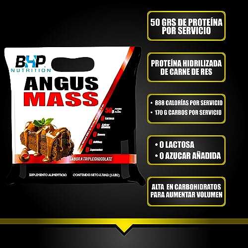 Creatinas, fsb proteina Marca BHP ULTRA (2)