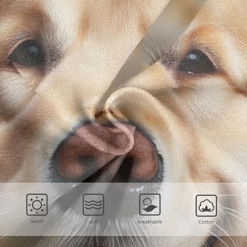 Cute Dog Feather Toddler Underwear Custom 2t Cotton Little Girl Panties Animals Briefs Underpants3