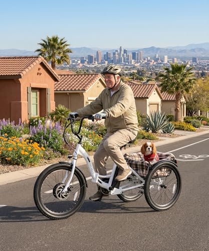 ANCHEER Electric Tricycle for Adults, Peak 600W Folding