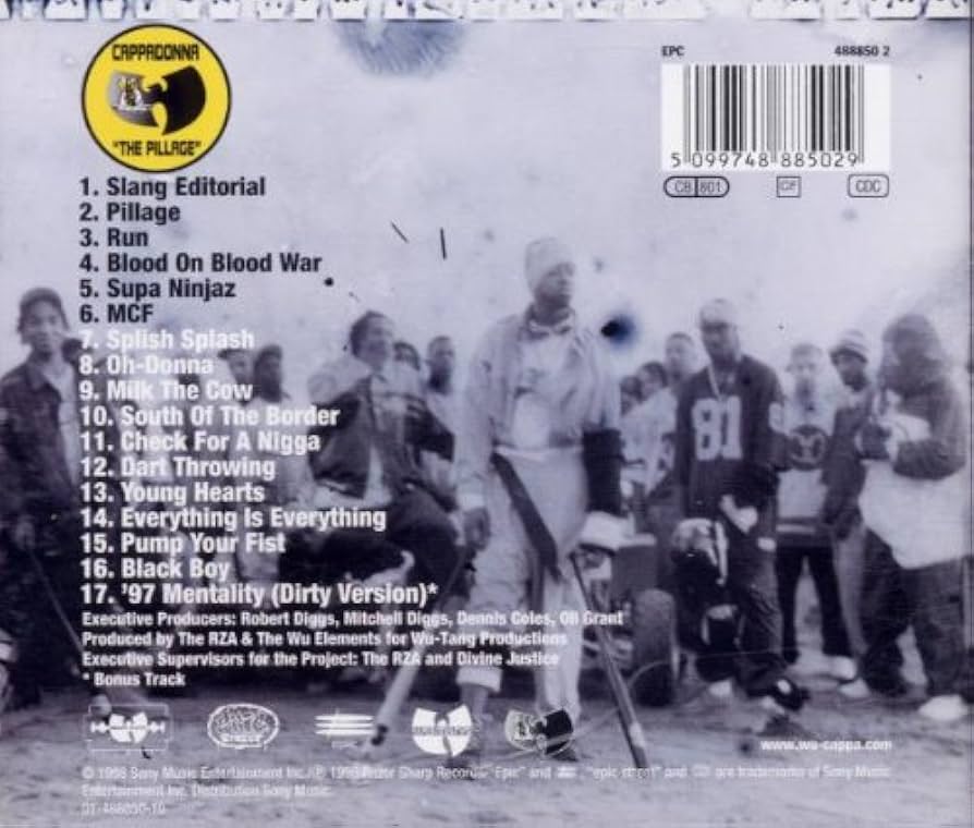 The Pillage: Amazon.de: Musik-CDs & Vinyl