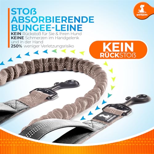 Joggingleine für Hunde zum Laufen, Joggen, Wandern | 2 in 1 Joggingleine und Normale Hundeleine für Große und Mittelgroße Hunde mit Doppelgriff | Bauchgurt Hundeleine