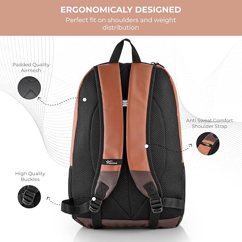 Image of Casual Backpack 16L Durable & Stylish Bag Multi-Utility Bliss Travel Backpack with Adjustable Padded Straps & Bottle Pockets Daily Use Bag for Collage, School (Grey & BGreen)