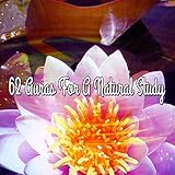 The Old Rocking Chair