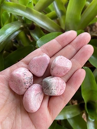 Image of GAF TREASURES 1 /2 LB Rhodonite Tumbled Stones, Polished Rhodonite Gemstone, Rhodonite Healing Crystals (Rhodonite)