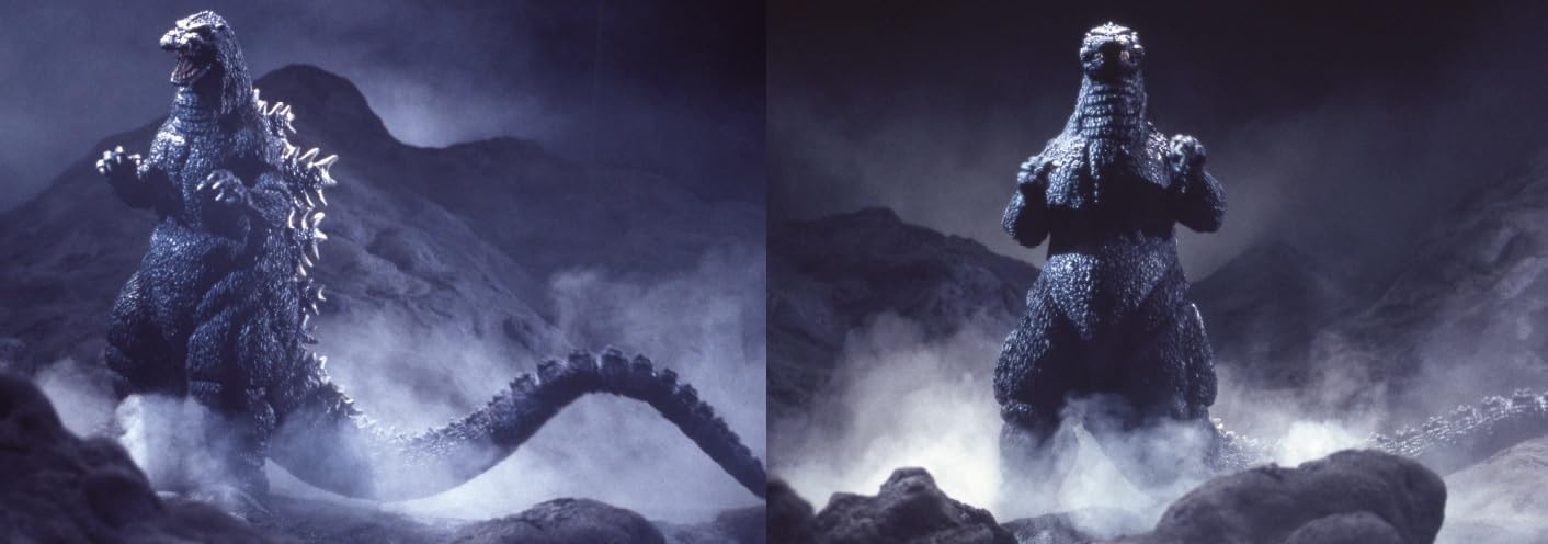 Amazon.co.jp: 東宝特撮 公式ヴィジュアル・ブックvol.24 ゴジラ