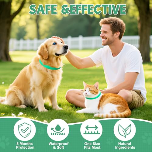 2 Pcs Floh Zeckenhalsband für Katzen & Hunde | Bis zu 16 Monate Langzeitschutz | Natürlicher Floh- und Zeckenschutz | Wasserdichter Verstellbares (Grün, Universal)