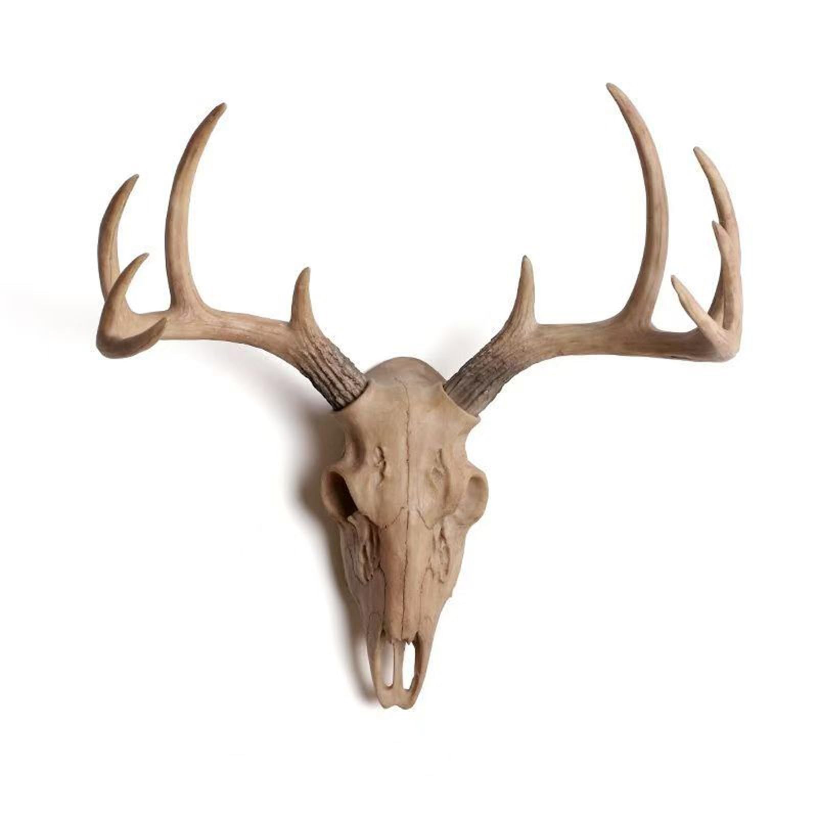 Decorazione da Parete a Forma di Teschio di Cervo Senza Trapano, Tassidermia di Testa di Cervo Finta in Stile Rustico Americano, Adatta per Il Soggiorno(A)