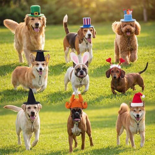 Shinymoon 9 Pcs Holiday Pet Costume Accessories Dog Cat Hat Seasonal Holiday Dog Headband Heart Bunny Ears Green Top Hat Birthday Cake Cap Graduation Black Witch Cap for Pet Costume Outfit Accessories - Image 6