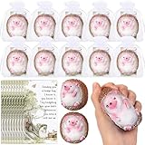 Gemscream 10 Set Hedgehog Stress Balls Inspirational Gifts for Adult Bulk Hedgehog Toys Set Foam Relief Gift with Motivational Cards Organza Bags for Adult End of Years Student Gifts