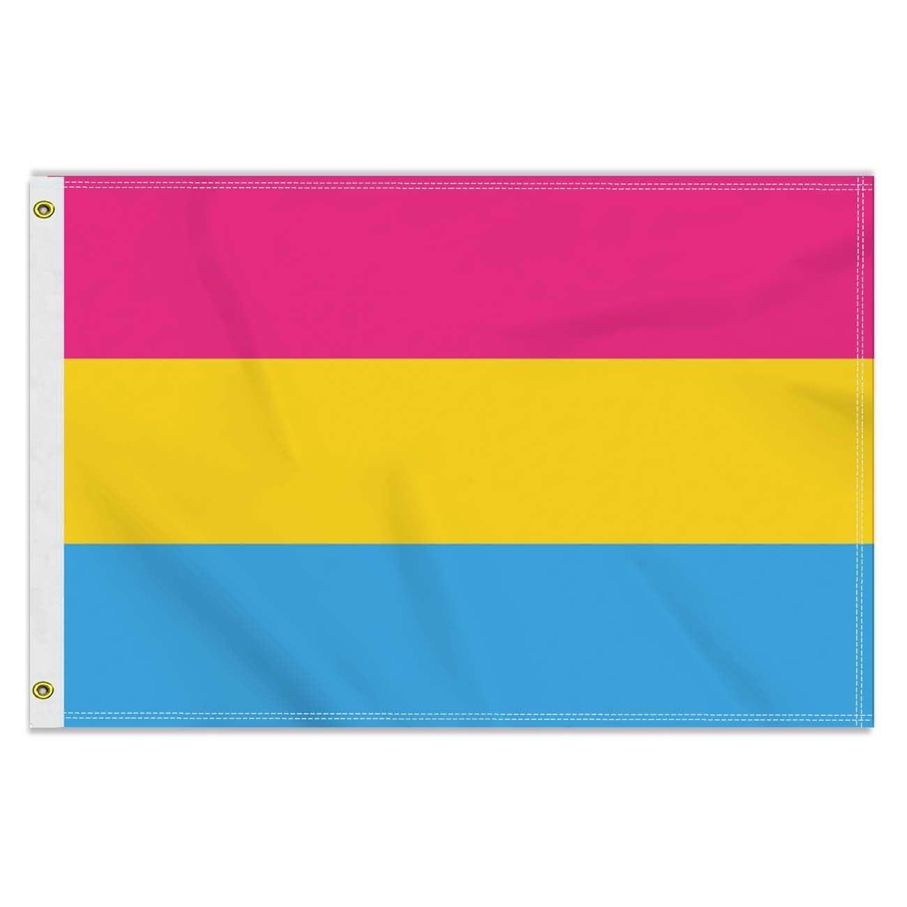2×3 FT Pansexual Flag, Medium 60×90 CM 150D Lgbtq Outdoor Banner,Decor Garden With Brass Gromment