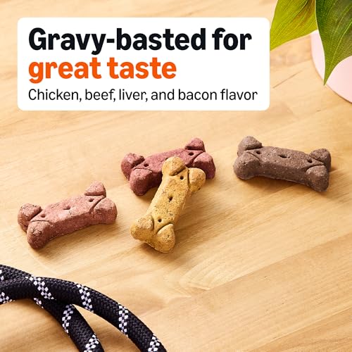 Image of Amazon Basics Crunchy Dog Biscuits Gravy Basted Flavor Dog Treats 5 lb. Box