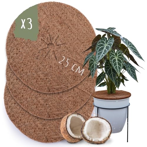 Tool & Tree Kokos Mulchscheiben 3er Pack Ø 25 cm – Pflanzenschutz aus Kokosfaser für Topfpflanzen & Kübelpflanzen – Winterschutz, Frostschutz, Topfschutz Pflanzen – atmungsaktiv & biologisch abbaubar