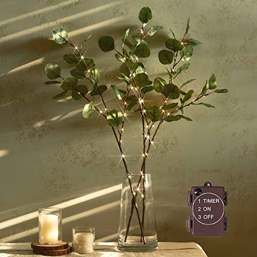 Hairui Lighted Eucalyptus Branches with Timer 24IN 36 LED Battery