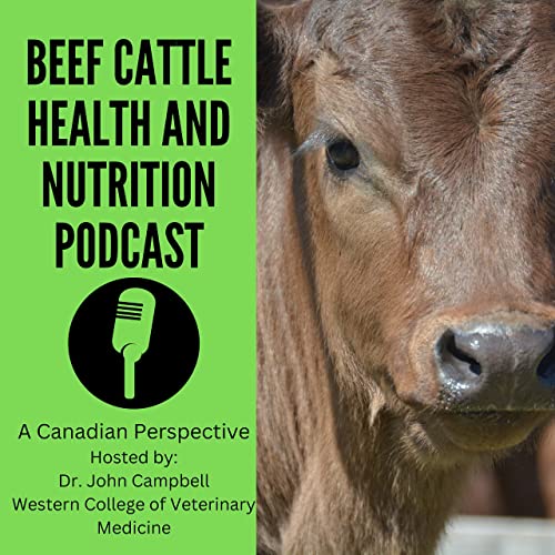 Viruses That Cause Calf Diarrhea With Dr Frank Van Der Meer The Beef viruses-that-cause-calf-diarrhea-with-dr-frank-van-der-meer-the-beef