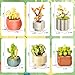 BNG Succulents Flowers Building Sets for Adult,Botanical Collection Toys for Office Home Decor,Plants Pot Bonsai for Mother's Day Women Girls 6+(520PCS)