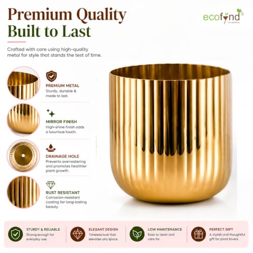 Image of ecofynd 1 Pack Metal Plant Pot (6.3 inch), Indoor Small Planter Flower Pots, Home Garden Decor Planter for Living Room Bedroom Interior (Gold Finish, POT047)