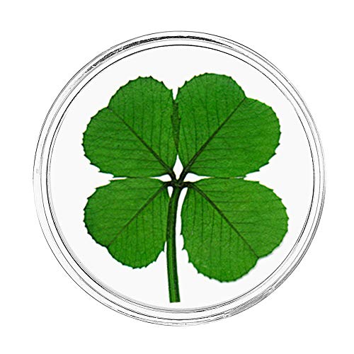 Genuine Preserved Four Leaf Clover Good Luck Charm Floating in a Pocket Token