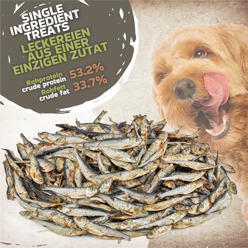 Getrocknete Sprotten für Hunde 1 kg (ca. 190–210 Stück) | 100% Fisch | natürlicher Kauartikel & Barf-Snack | reich an Omega-3 & Omega-6 | ohne Zusatzstoffe