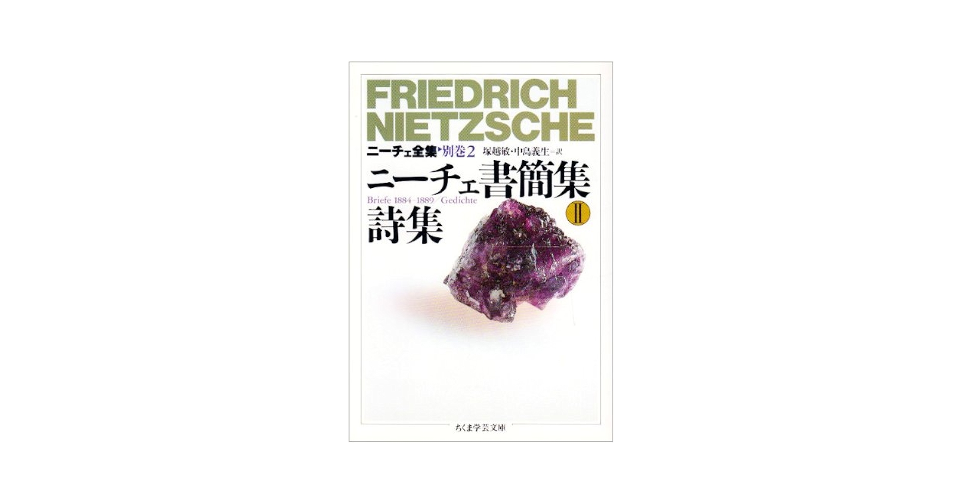 Heidegger著　Nietzsche全2巻　ドイツNeske社刊 Heidegger著 Nietzsche全2巻 ドイツNeske社刊 Amazon.co.jp