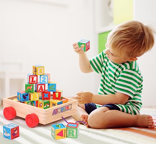 Atoylink LT170H Abc Wooden Building Blocks thumb #7