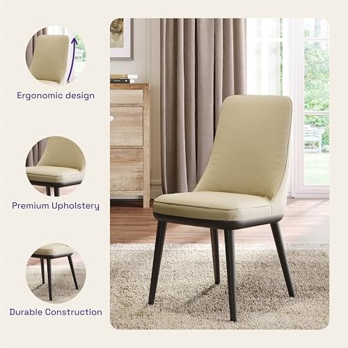 Image of Wakefit Kova Dining Chair - Robin Beige