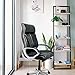 CELLBELL C54 Ergonomic High Back Boss Chair Leather Office Chair/Director Chair/Leatherette Executive Revolving Chair (Black)