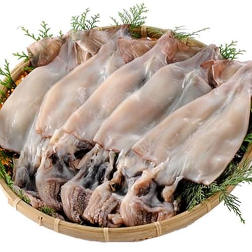 XCJ ߂ 銱 5Zbg Y CJ    RAY