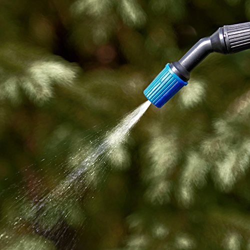 Homeright C900908 C900908 Tank Sprayer, 2 Gal, White #TOP5