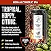 Go Brewing - IPA 12 Mixed Pack - Non Alcoholic Beer - Small Batch Brew - Low Calorie Drink - Featuring Double IPA, Prophets Hazy IPA, Citrus IPA & Tropical IPA - Low-Calorie, NA Brew (12 oz, 12 Pack)