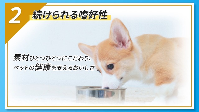 Amazon | VetsWell(ベッツウェル) 犬用食事療法食 下部尿路ケア 3kg